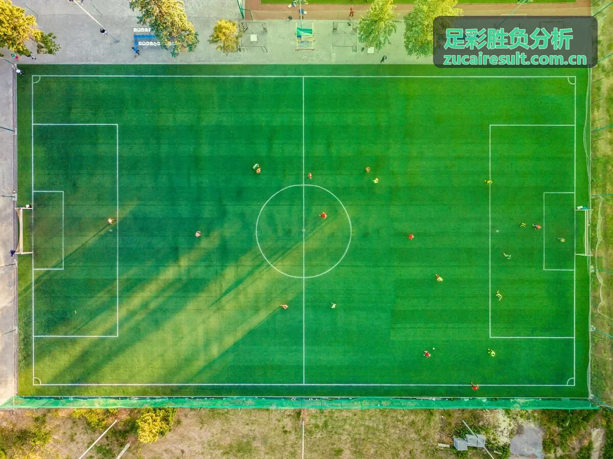 德甲足彩胜负分析联赛数据卡片